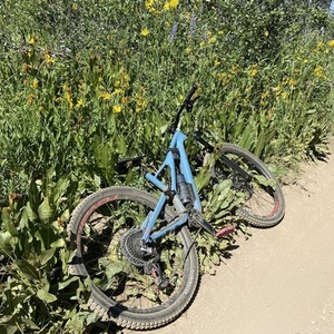 2019 Specialized Stumpjumper Blue