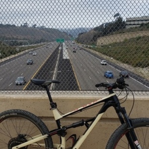 2020 Polygon Siskiu D7 Brown