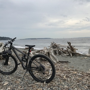 2020 Specialized Rockhopper Comp 27.5 Silver, gray or bare metal