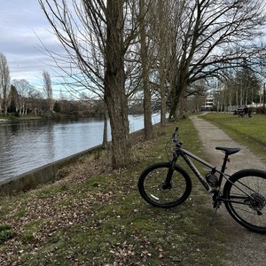 2020 Specialized Rockhopper Comp 27.5 Silver, gray or bare metal
