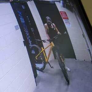 2022 Santa Cruz Chameleon Yellow or Gold