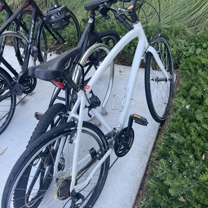 Specialized Globe Vienna 1 White