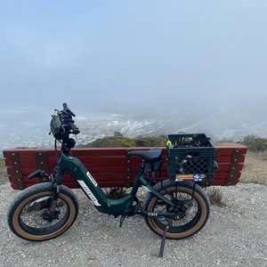 2022 Aventón Step Through Green