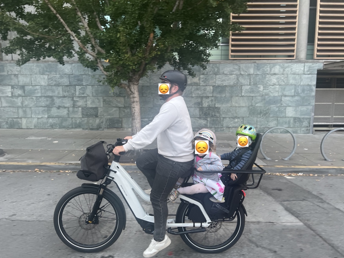 Cargo Bike Rear photo