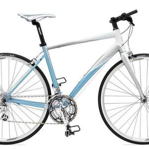 2011 Giant Dash 3 White and Blue