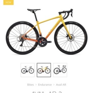 2020 Giant AVAIL AR3 Orange