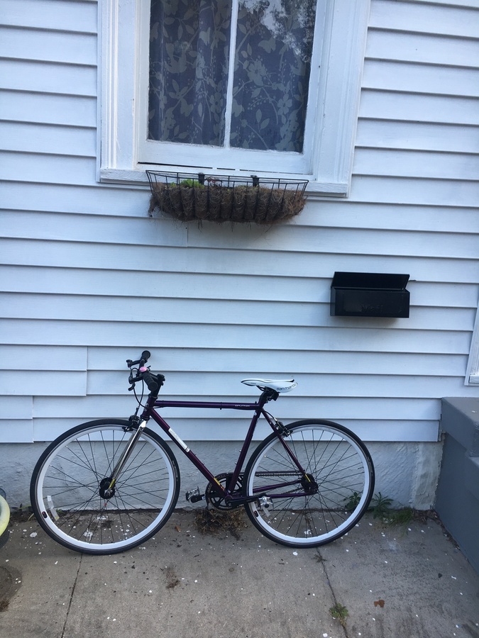Bike photo