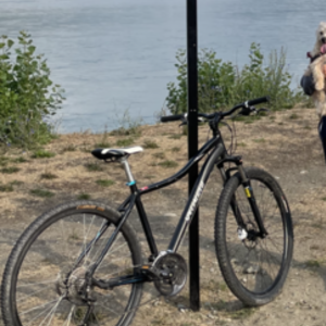 Specialized Ariel Black