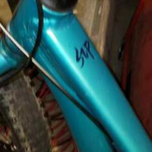 2021 Giant Unknown childs model Blue