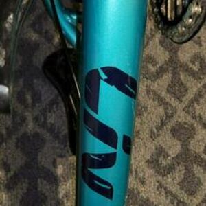 2021 Giant Unknown childs model Blue