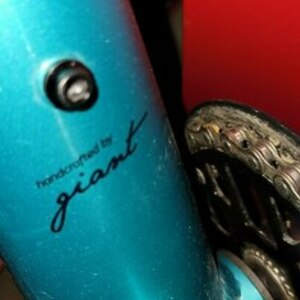 2021 Giant Unknown childs model Blue