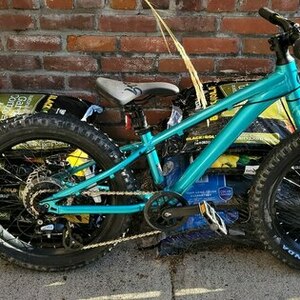 2021 Giant Unknown childs model Blue