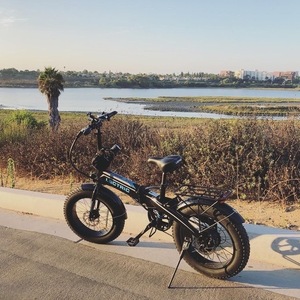 2021 Lectric eBikes Lectric XP bikes Black