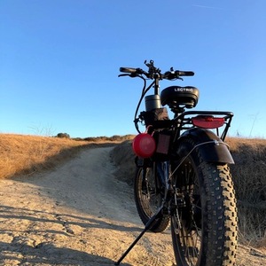 2021 Lectric eBikes Lectric XP bikes Black