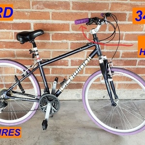 Schwinn Blue