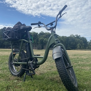 2022 Rad Power Bikes Rad Runner cargo bike (rear storage) Green