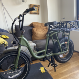 2022 Rad Power Bikes Rad Runner cargo bike (rear storage) Green