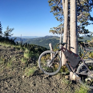 2018 Surly Krampus Purple