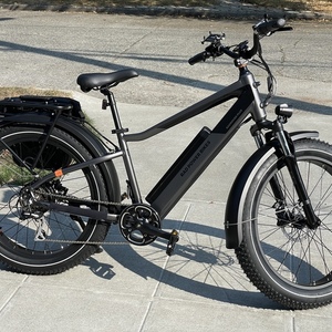 2022 Rad Power Bikes Rad Rover 6 Plus Silver, gray or bare metal