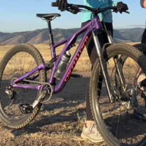 2018 Specialized Stumpjumper st alloy Purple