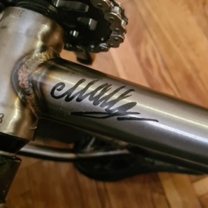 2020 Experimental Bikes Exp 1.2 Silver, gray or bare metal