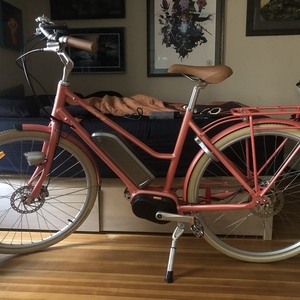 Bluejay Electric City Bike Sunkissed Medium/L... Orange