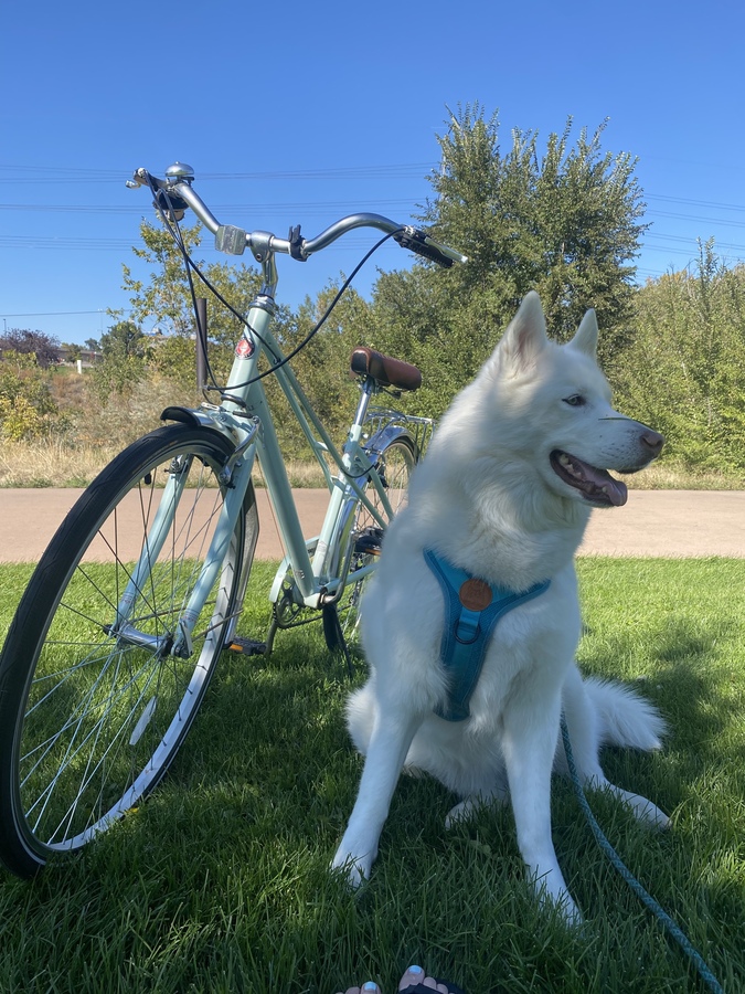 Bike photo