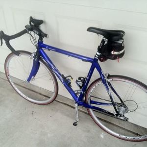2008 Fondriest Luxter Blue
