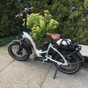 2020 Rad Power Bikes Step Through White