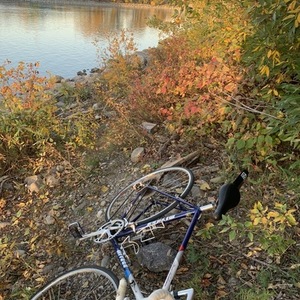 1986 Miyata triathlon Blue