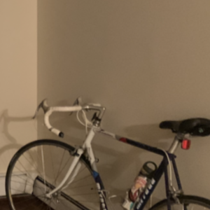 1986 Miyata triathlon Blue