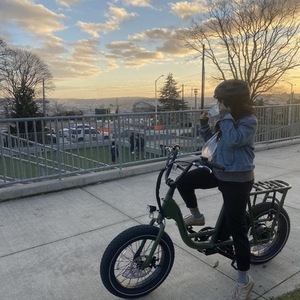 2022 Rad Power Bikes Rad Runner 2 Green