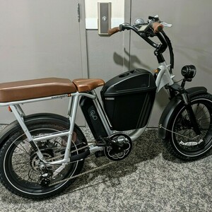 Rad Power Bikes RadRunner Plus Silver, gray or bare metal