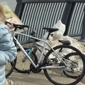 2020 Trek FX2 Silver, gray or bare metal