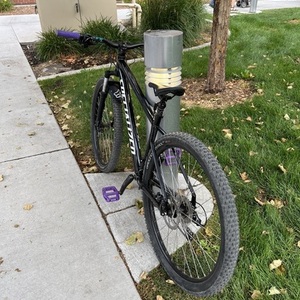 2021 Specialized RockHopper Black