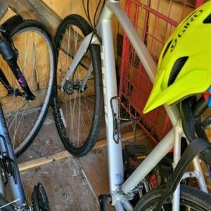 Trek FX 2 WSD DISC Silver, gray or bare metal