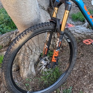 2019 Vitus Escarpe Blue and Orange