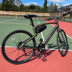 2022 Urban Bike Large Silver, gray or bare metal