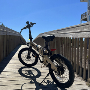 2022 Lectric eBikes XP Lite Brown, Black, and White