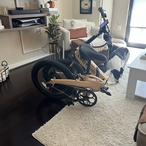 2022 Lectric eBikes XP Lite Brown, Black, and White
