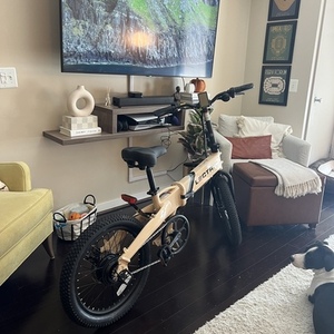 2022 Lectric eBikes XP Lite Brown, Black, and White
