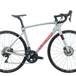 2020 Specialized Roubaix Silver, gray or bare metal