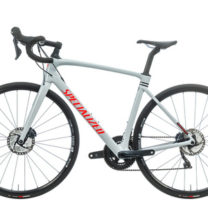 2020 Specialized Roubaix Silver, gray or bare metal