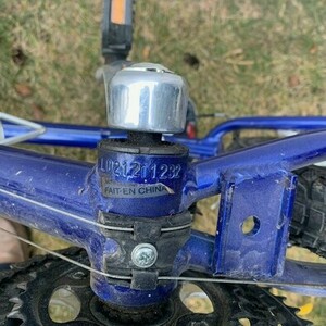 Schwinn Santa Monica Blue and Silver, gray or bare metal