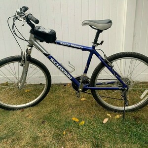 Schwinn Santa Monica Blue and Silver, gray or bare metal