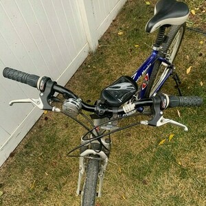 Schwinn Santa Monica Blue and Silver, gray or bare metal