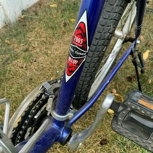 Schwinn Santa Monica Blue and Silver, gray or bare metal