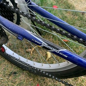 Schwinn Santa Monica Blue and Silver, gray or bare metal