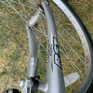 Schwinn Santa Monica Blue and Silver, gray or bare metal