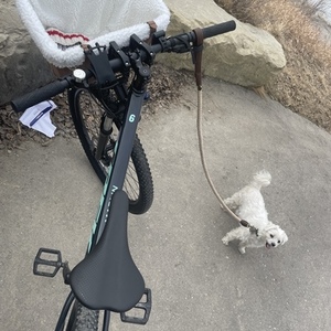 2022 Trek Marlin 6 Blue and Teal